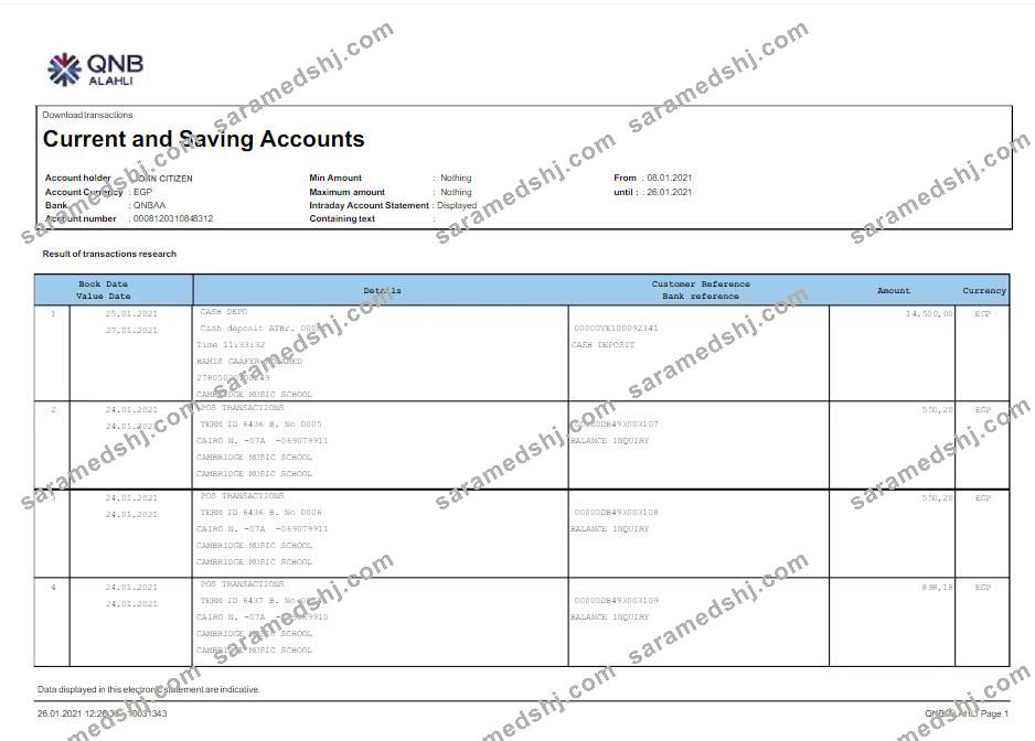 Qatar QNB ALAHLI bank statement Word and PDF template scr